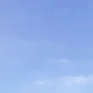 Meet your Posher, Cashlynn